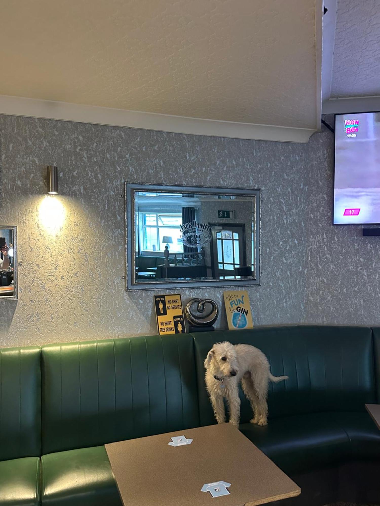 Troed-y-rhiw The Angel Inn מראה חיצוני תמונה
